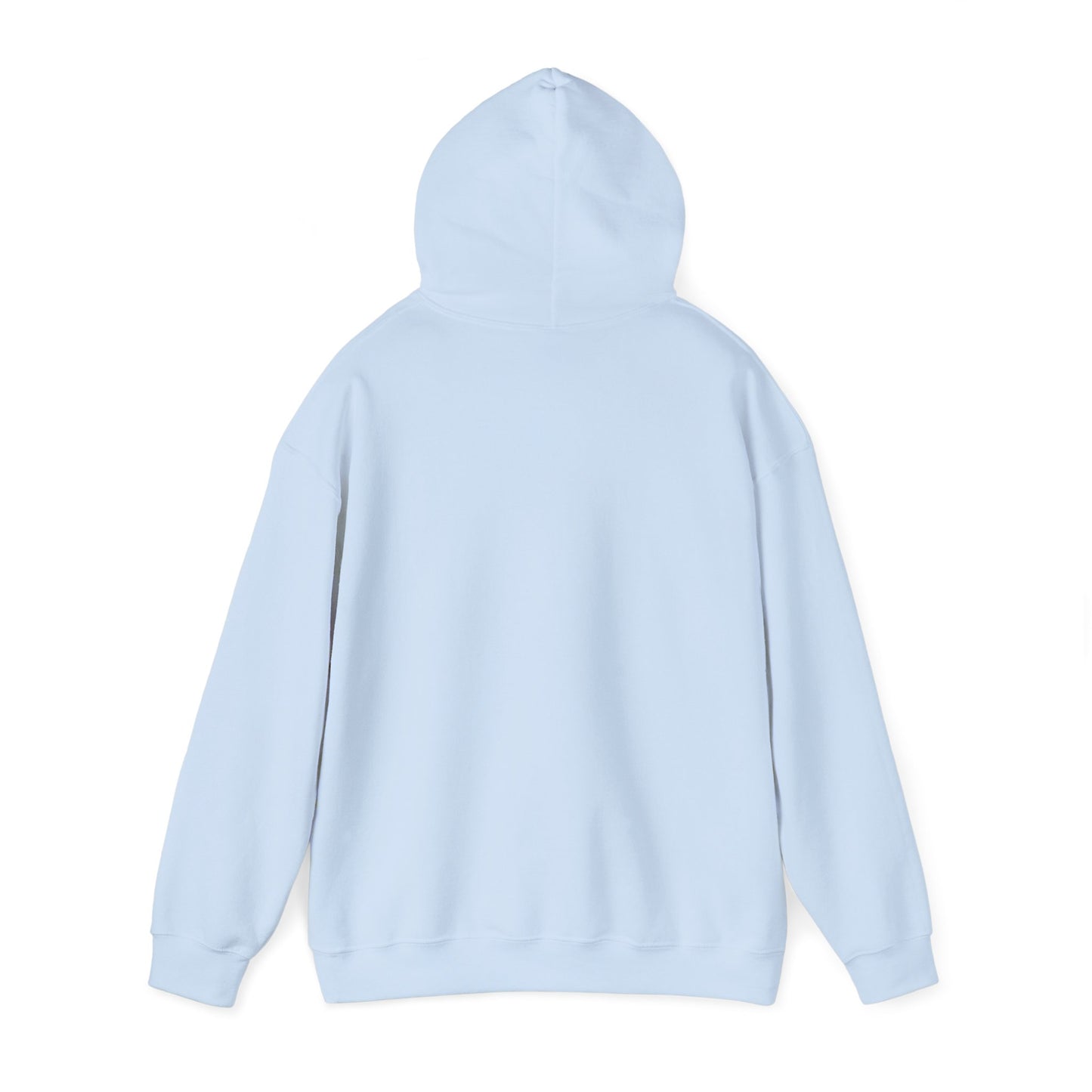 MEN'S SIMPLE HOODIE